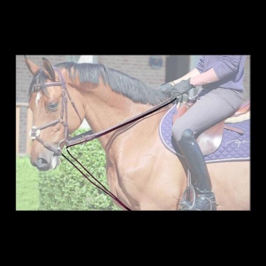 Dy’on collection - Leather/nylon draw reins 
