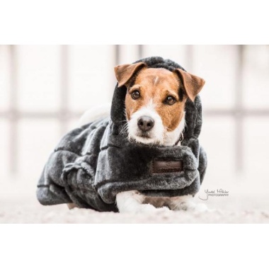Kentucky dog coat