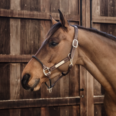 Kentucky leather rope halter