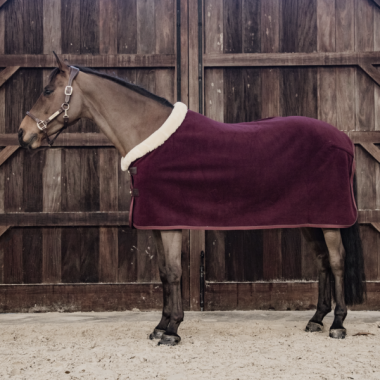 kentucky Fleece show rug 'heavy' bordeaux