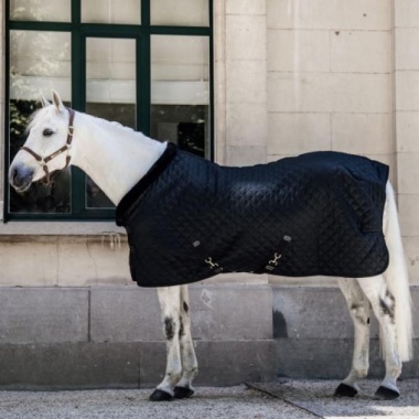Kentucky showrug 160g black