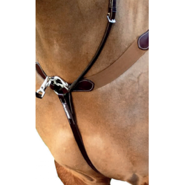 Cavaletti martingal wit attachment