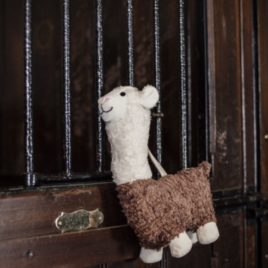 Kentucky toy alpaca