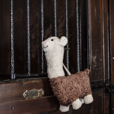 Kentucky mänguasi boxi alpaca