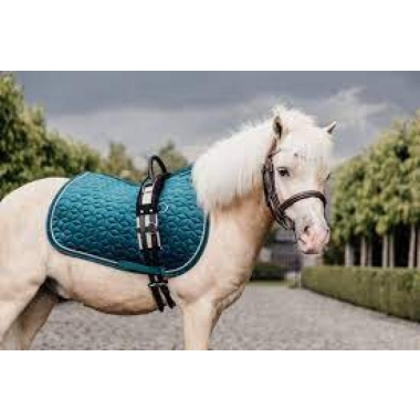 Kentucky velvet saddle pad pony