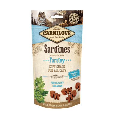 24601-24601_634bd2be378d49.19964846_sardines_large.png