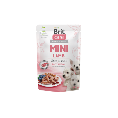 24696-24696_63514fe2b32376.33914555_lamb_puppies_large.png