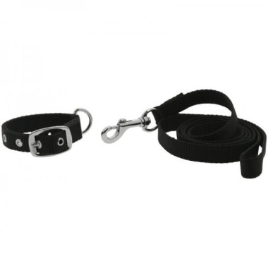 29902-29902_67ebb84011d573.86706991_collier-et-laisse-pour-chien-riding-world-oscar_large.jpg
