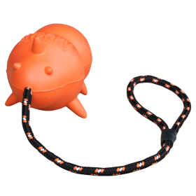 Fetch Dog Snorky  vanilje maitsega 11,5cm 