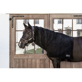 Kentucky talve sall full 