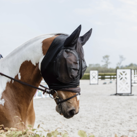 Kentycky fly mask