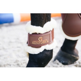 akaentucky Sheepskin young horse fetlock