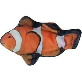 Wild Life Cat Clownfish 