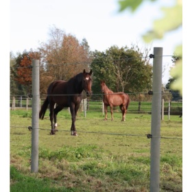 Plastikust post 10cm