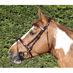 CAVALETTI Easy bridle