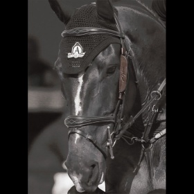 Dyon English Collection blinkers