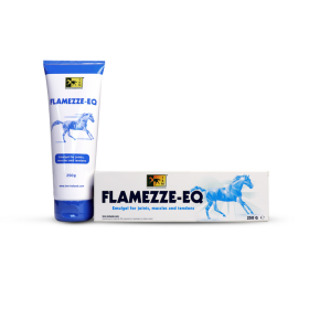 TRM FLAMEZZE-EQ 250G EMULGEL