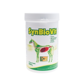 SynBioVit