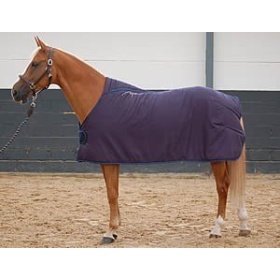 Dyon under rug navy