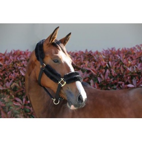 Kentucky Nylon sheepskin halter