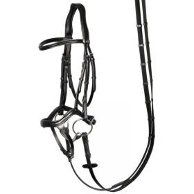 Bridle Anatomic