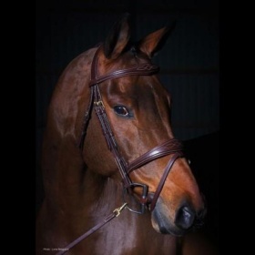 Dyon valjad anatomic flash noseband