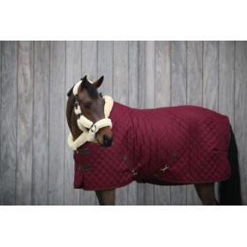 Kentucky Showtekk 160g bordoo