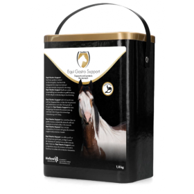 Hofman animal care täiendsööt Excellent Horse Gastro Support 1,8 kg