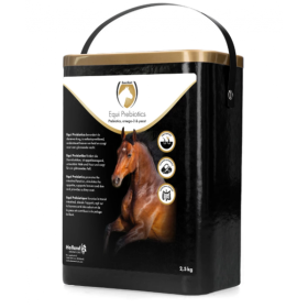 Hofman animal care täiendsööt Excellent Horse Prebiotics 2.5 kg