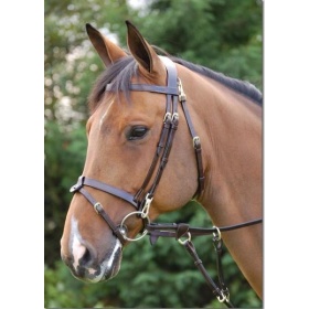 Dyon Flat flash bridle with snaps