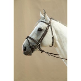 Dyon Flat flash bridle with snaps