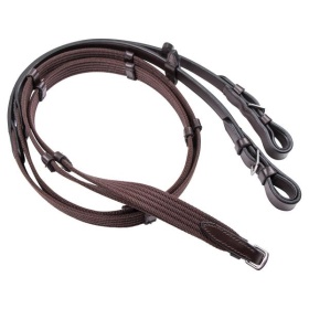 Cavaletti web reins