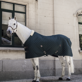 Kentucky Stable rug 400g