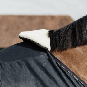 Kentucky BIB SHEEPSKIN