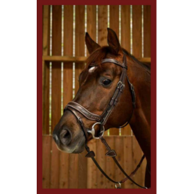 Dyon Working Fit Bridle 