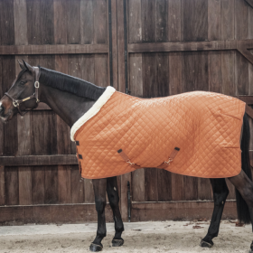 Kentucky showtekk 160g oranz