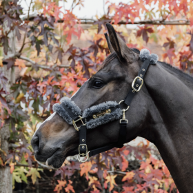 Kentucky NYLON SHEEPSKIN HALTER