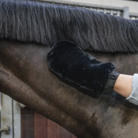 Sheepskin grooming glove black