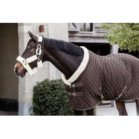 Kentucky Show rug brown 160 gram 