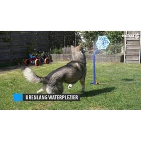 CoolPets jahutav sprinkler liikuv lill 