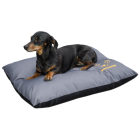 Bodyguard Elegant Pillow S Grey