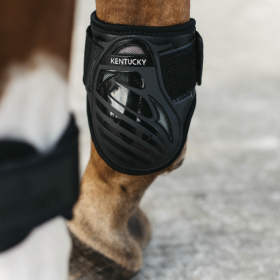 Young Horse fetlock boots