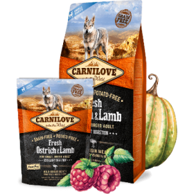 CarniLove FRESH Ostrich&Lamb S Adult