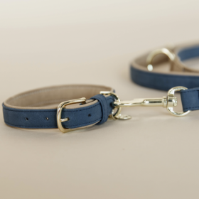 Dog collar vegan leathe