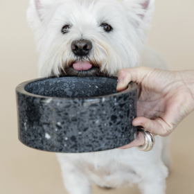 Dog Bowl Terrazzo stone black