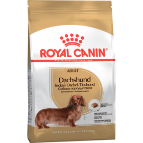 Royal Canin Taksi koeratoit  