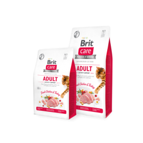 BC Cat GF Adult Activity Support 2kg