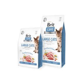 BC Cat GF Large cats Power Vitality