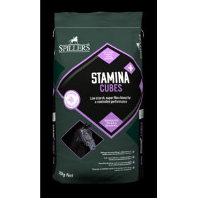 SPILLERS STAMINA+ CUBES 20KG