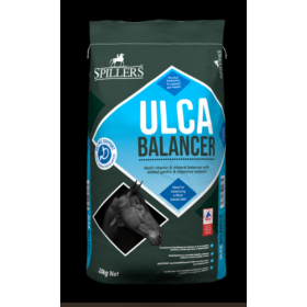 SPILLERS Ulca Balancer 15kg